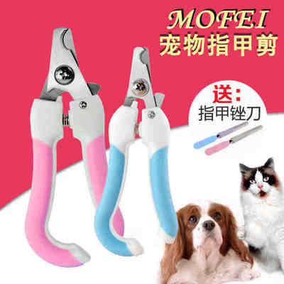 如何为爱宠选择合适的指甲修剪工具——从泰迪到大型犬的必备美容指南