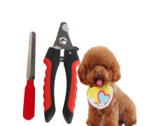 宠物带 宠物用品的必要之选