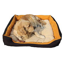 宠物专用品 从必需品到生活美学，打造爱宠的健康与快乐生活