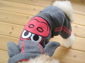 美琪妃宠Feipet 日单宠物服装批发与宠物用品一站式指南