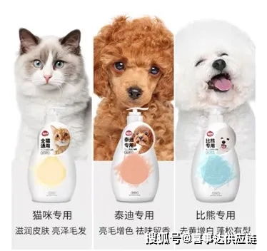 从美国市场洞察宠物用品分类与增长趋势