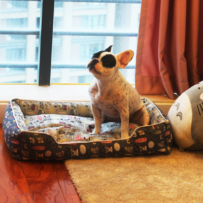 养宠物必备的实用工具，看看你是否准备齐了